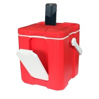 Small capacity Multi-function cooler speaker