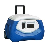 Hot! Mini cooler box with wheels with radio bottle cooler